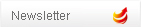 Newsletter NaviExpert