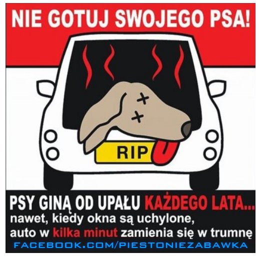 Akcja "Nie gotuj swojego psa!"