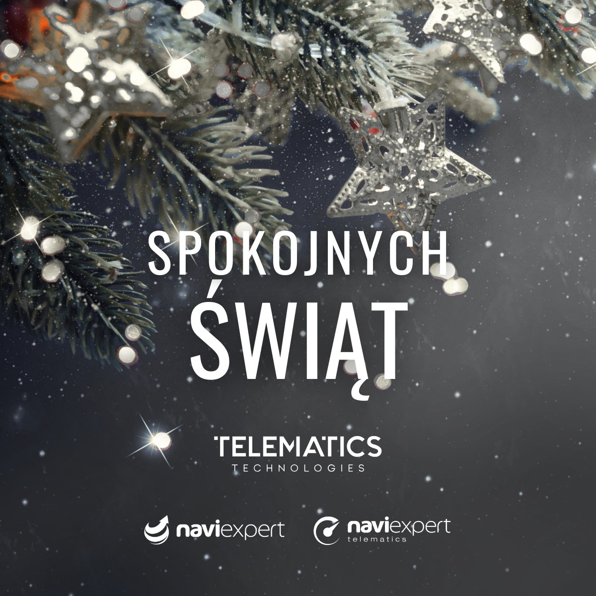 🎄Niech te Święta będą jak idealna trasa: bez korków, bez objazdów i z najlepszymi ludźmi na pokładzie 🚗 Życzymy Wam chwili oddechu, dobrej energii i spokojnych dojazdów – nie tylko od święta.
A w Nowym Roku? Samych trafnych decyzji, spełnionych planów i podróży, które zawsze kończą się tam, gdzie chcecie ✨
Dzięki, że jesteście z nami 🧡
__
Zespół NaviExpert